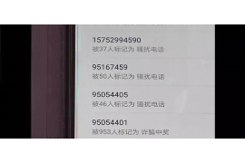 靖西追款公司排名前十名：专业高效，助力企业资金安全